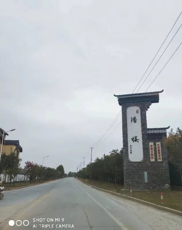 潘楼村先后列入全市乡村振兴建设示范村,从去年七月以来,潘楼村位于