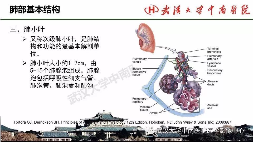 规培肺部影像解剖及基本概念基本病变