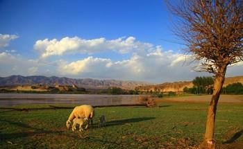 田园的生活有多惬意 1223100b2a06432d849cce6c40aa0a8f.jpeg