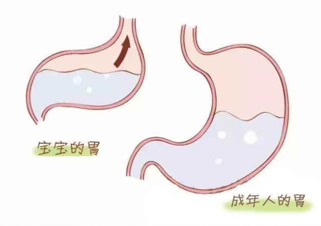 「福林妈咪」吃得又不多，身上也不胖，为什么孩子的肚子却总是圆鼓鼓的？