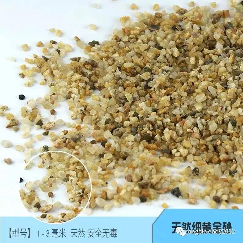 生态鱼缸造景设计图_造景生态小鱼缸_生态鱼缸造景图片