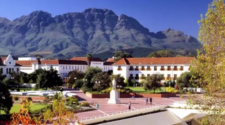 stellenbosch university