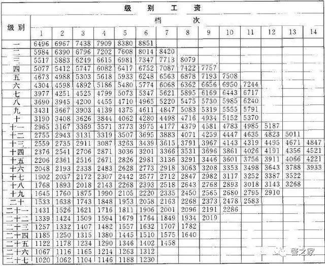 2019人口普查新规定_人口普查图片