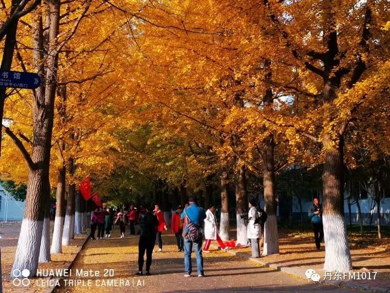 【丹东天气:又是降雨大风天 气温探低【新一周:中期暖 大雾回】