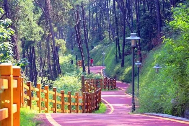 竹篙山森林公园    环山绿道,登山道