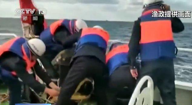 黄海一渔船被货轮撞击12人被困渔政救援下全员平安