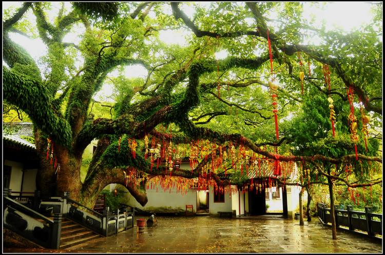 中国旅游景区大全之舟山普陀山风景区