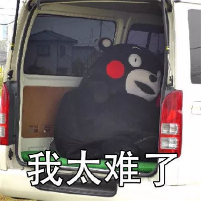 熊本熊我太难了表情包