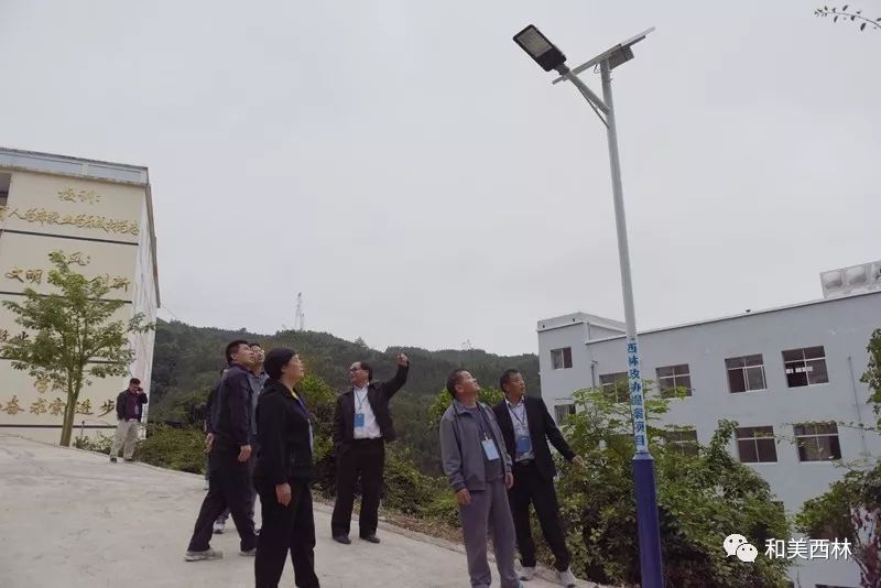 视察马蚌村中心小学路灯亮化工程