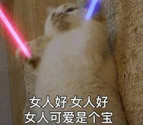 抖音猫拿荧光棒动态表情包大全