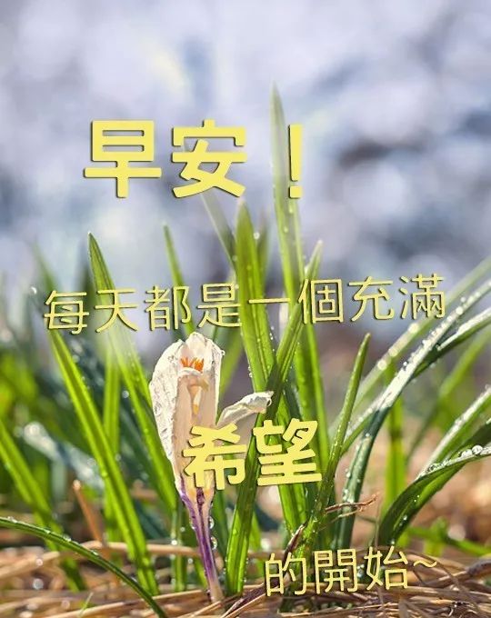 新的一周开始了秋天早上好祝福语图片带字天气转凉早安问候祝福语句子