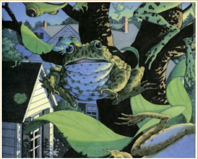 梦回幽室，青蛙与狗的寓言——一场关于驱离与陪伴的梦境解析