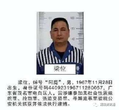 车振宇 于兵万记者 柯小瑛配图:网络,茂名市公安局关于检举揭发田业海