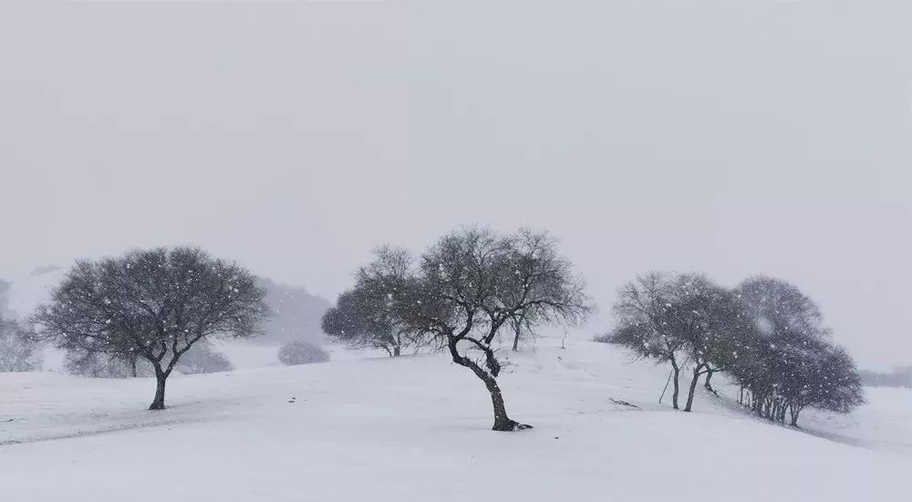 杭州下雪还早,咱先来一波这个时节北方的雪景图,过过眼瘾.