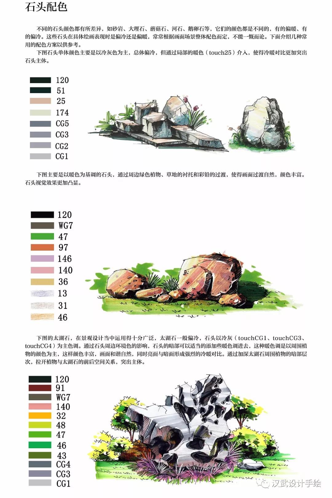 干货马克笔植物手绘教程案例分享