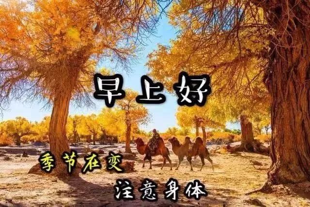 10月29日问候早上好图片带字动态表情 早上好图片问候