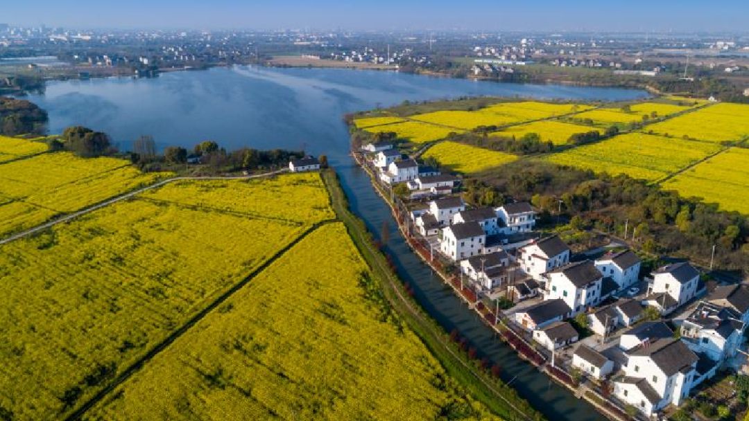 吴江这3村庄获评苏州市特色田园乡村_东联村