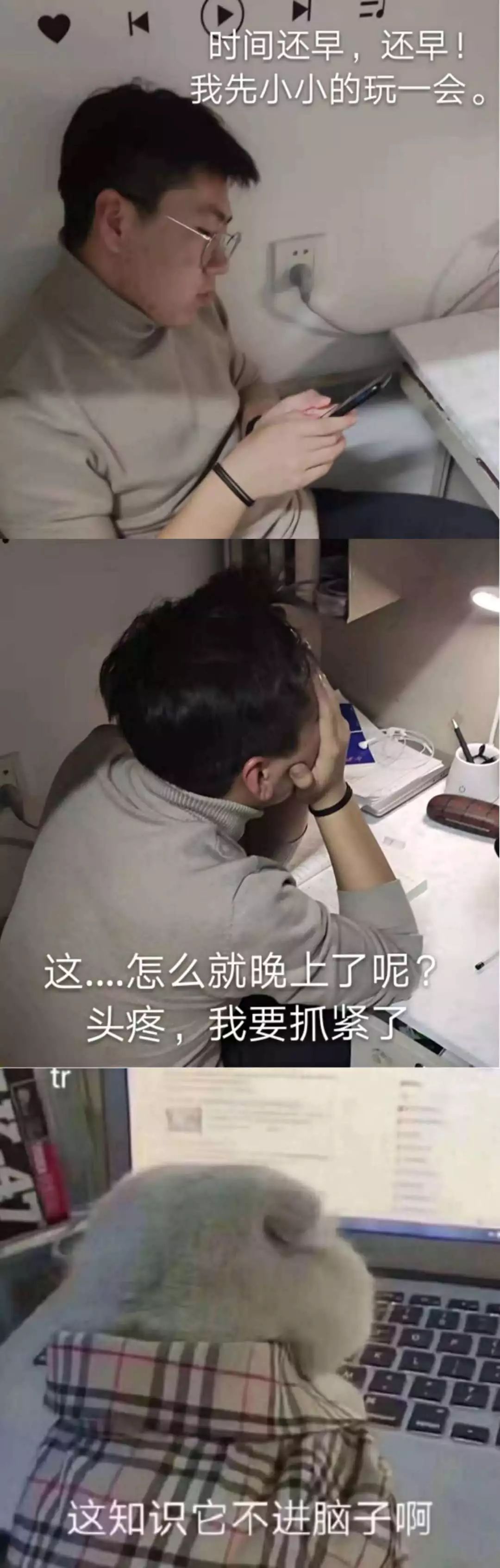 今天我什么都不想做就是想学习