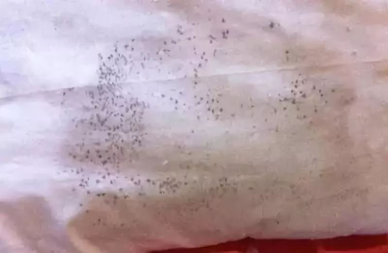 【妈咪孕事】好可怕！宝宝天天吃的这 4 种东西，竟然比抹布还脏！