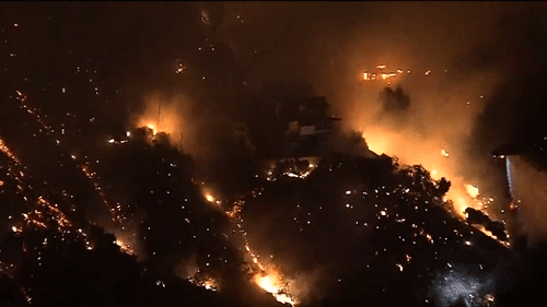 加州山火肆虐，近20萬人被迫撤離，施瓦辛格、詹姆斯也撤了 國際 第4張