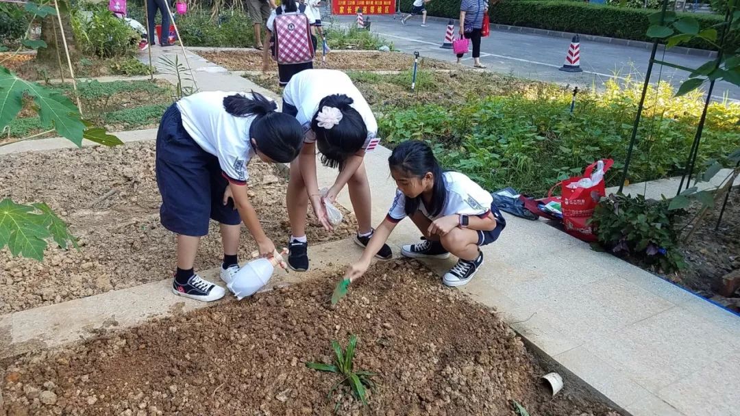 "一起和种子成长"----云山学校开心农场开学季