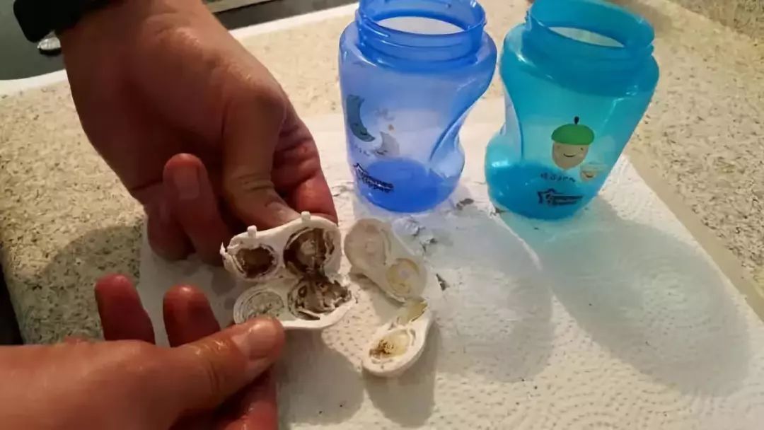 【妈咪孕事】好可怕！宝宝天天吃的这 4 种东西，竟然比抹布还脏！