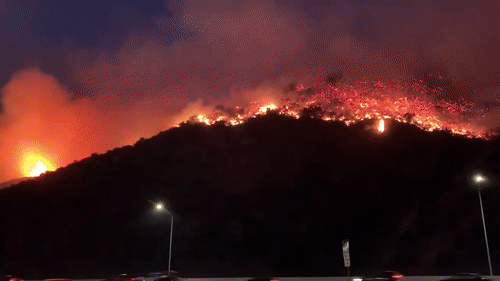 加州山火肆虐，近20萬人被迫撤離，施瓦辛格、詹姆斯也撤了 國際 第5張