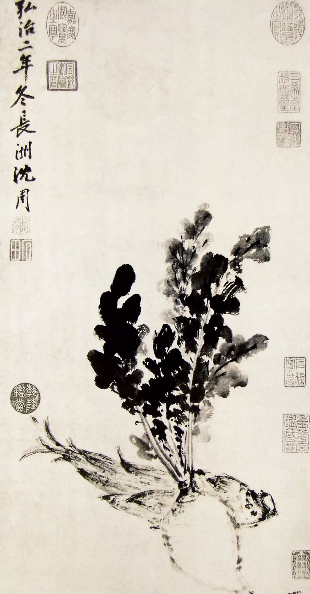 明代绘画大师沈周写意花鸟画欣赏