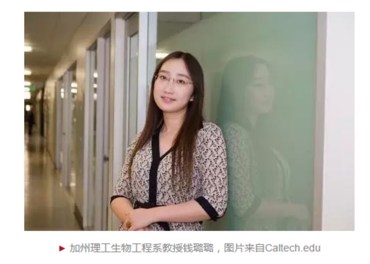 复旦女博士同时劈腿4人,不惜出卖身体"为了钱,我可以不要脸"_李敏