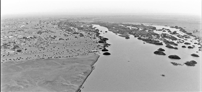 干涸近300年“哈拉奇”水域重现