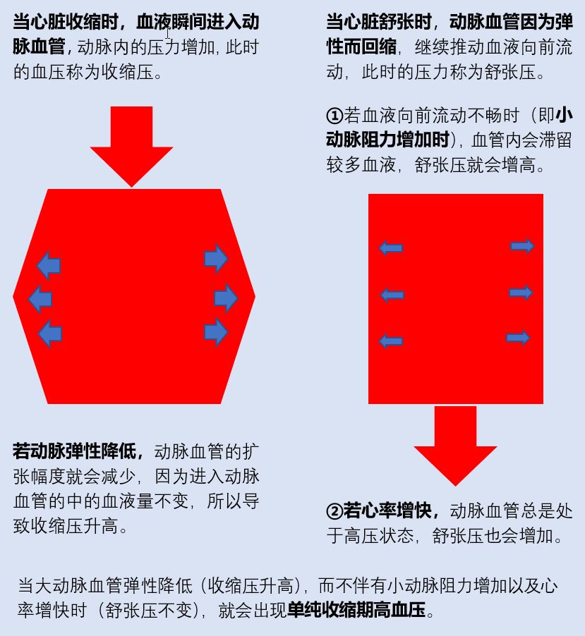 大量血液瞬间进入动脉血管,导致动脉血管内的压力增加,此时的血压称为