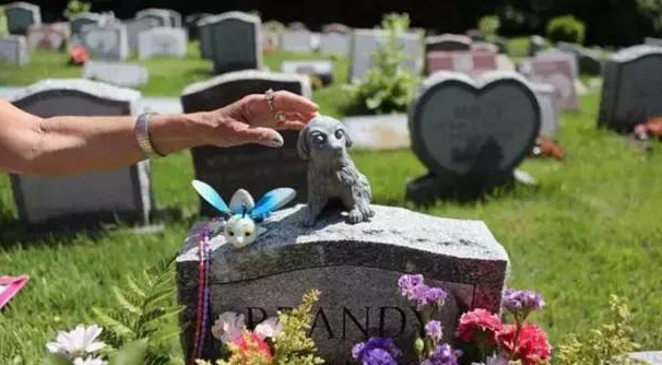 国外的宠物殡葬业现状如何？