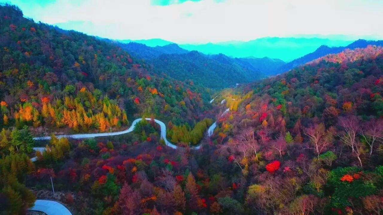 追随最后一抹绚烂秋色,一段奇遇般旅程,陕西秦岭,秋醉大山深处