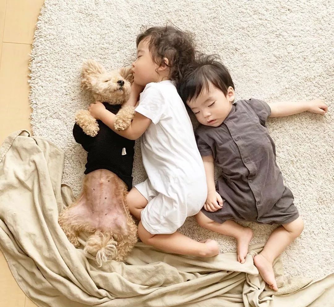 日本妈妈每天给狗狗和孩子拍照，这画风…也太可爱了吧！ | 宠物天空