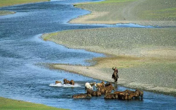 罗新：游牧民族是如何参与中国古代的历史进程的？