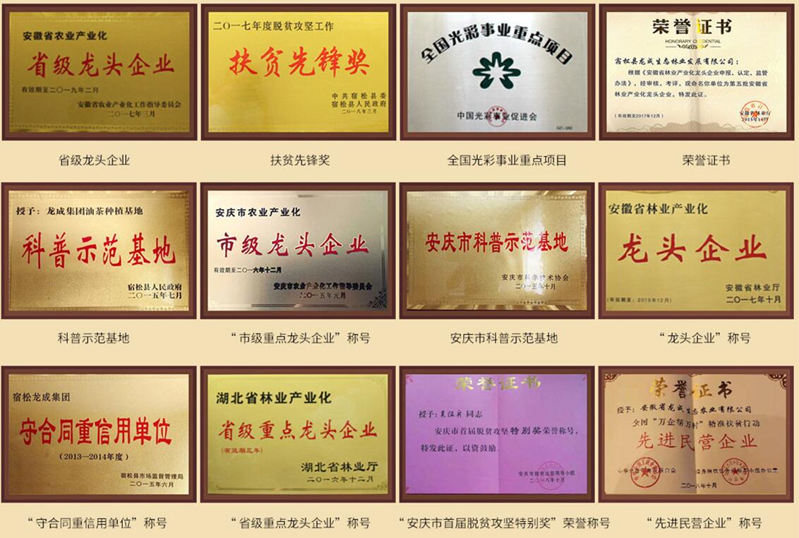 安徽龙成集团受访《中国星品牌》(最新发布)
