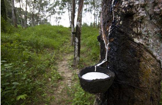 不能结伴上厕所、听恐怖故事…温州女子越南跟