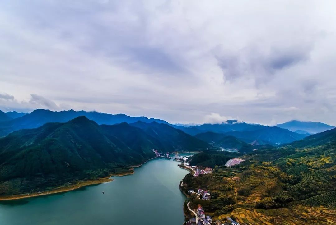 鲍艺敏 | 露出先天一片心