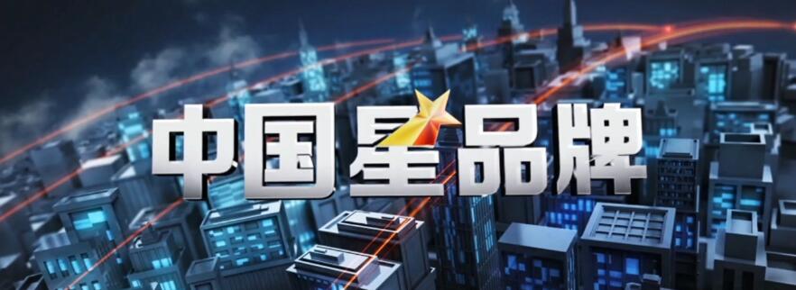 安徽龙成集团受访《中国星品牌》(最新发布)