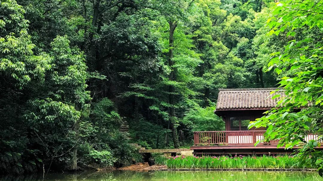 中国旅游景区大全之浙江安吉灵峰山