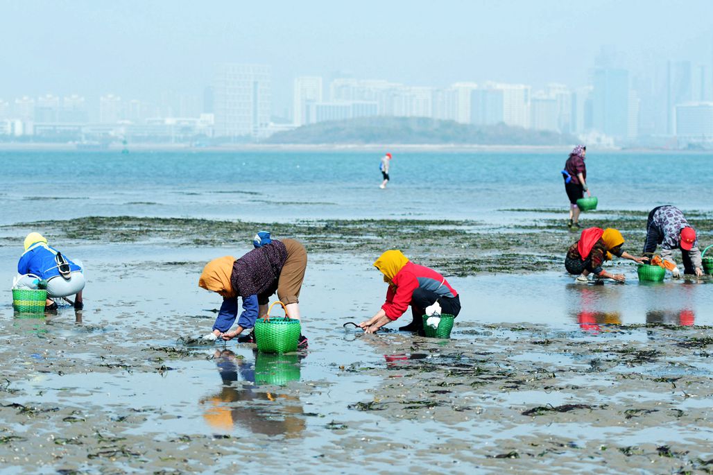 青岛西海岸新区唐岛湾湿地公园南岸海滩,众多市民和游客前来赶海,挖拾