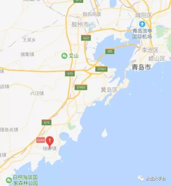 重磅14万吨环保胶6万吨水性涂料项目在青岛落户开工