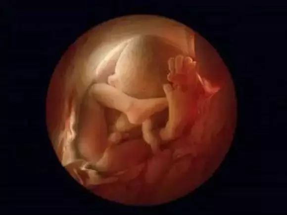 孕期,胎儿发育有4个"猛长期",孕妇要牢记,营养补充要到位!