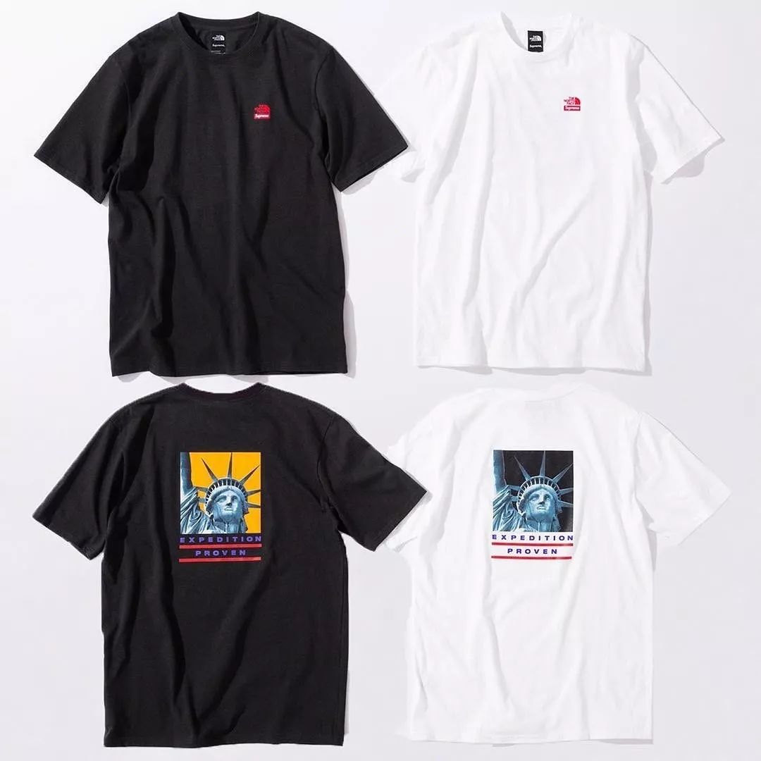 supreme north face 2019