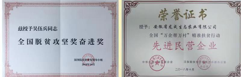 安徽龙成集团受访《中国星品牌》(最新发布)