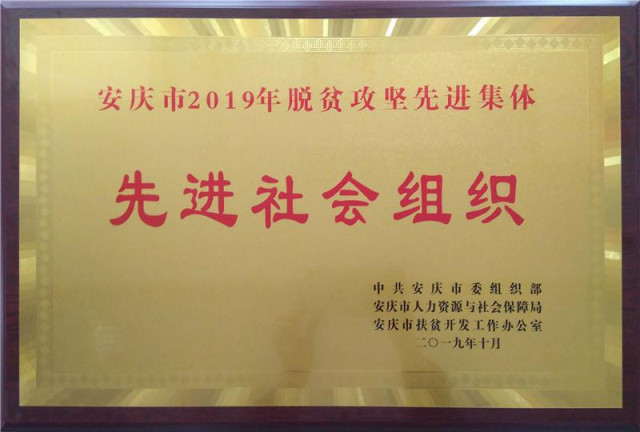 安徽龙成集团受访《中国星品牌》(最新发布)