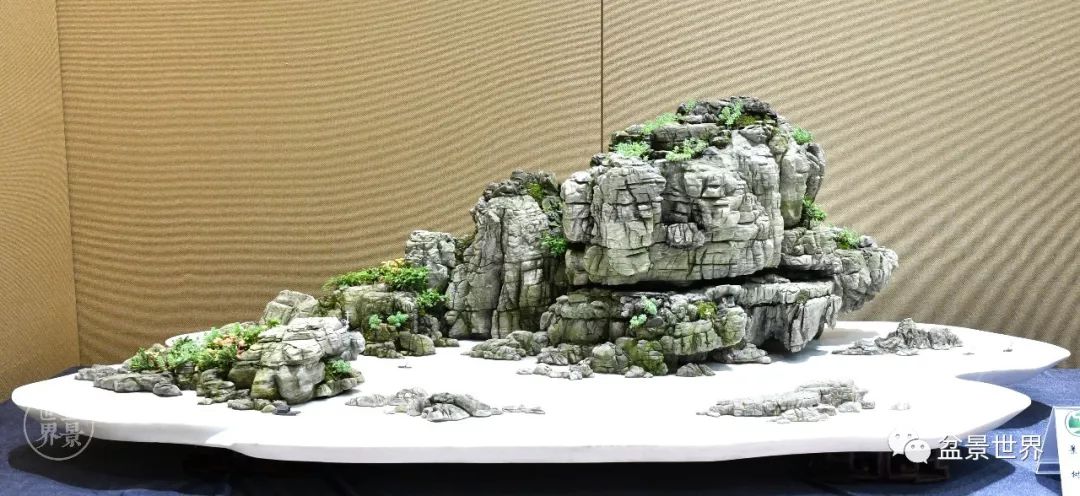 田一卫作品《千帆过尽烙纤痕》(米叶冬青,真柏,龟纹石,盆长cm