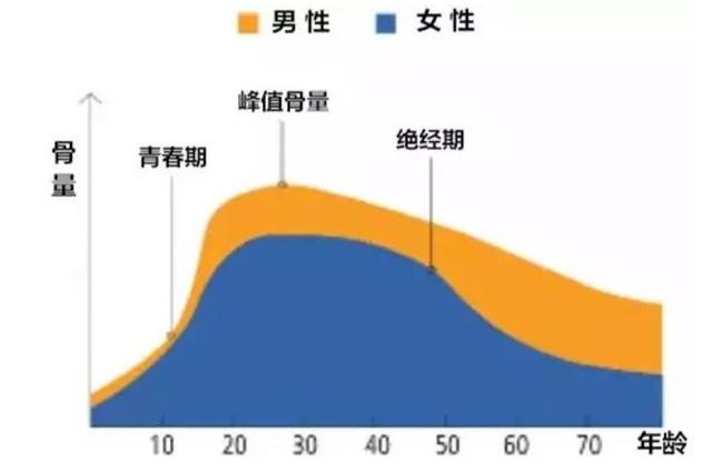 骨质疏松正在毁掉你的健康_骨骼