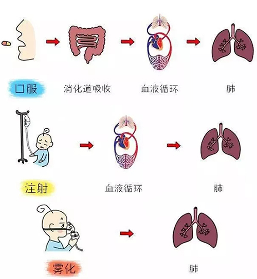 科普|| 呼吸道疾病的雾化吸入疗法