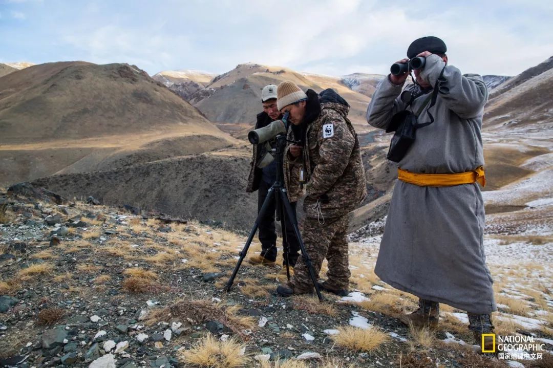 雪豹:请你们好好爱我吧 | 影像